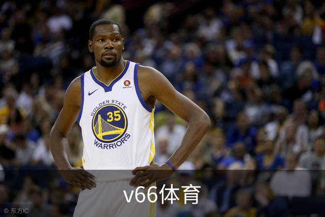 v66体育公司简介